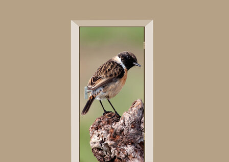 Deursticker vogel in de natuur